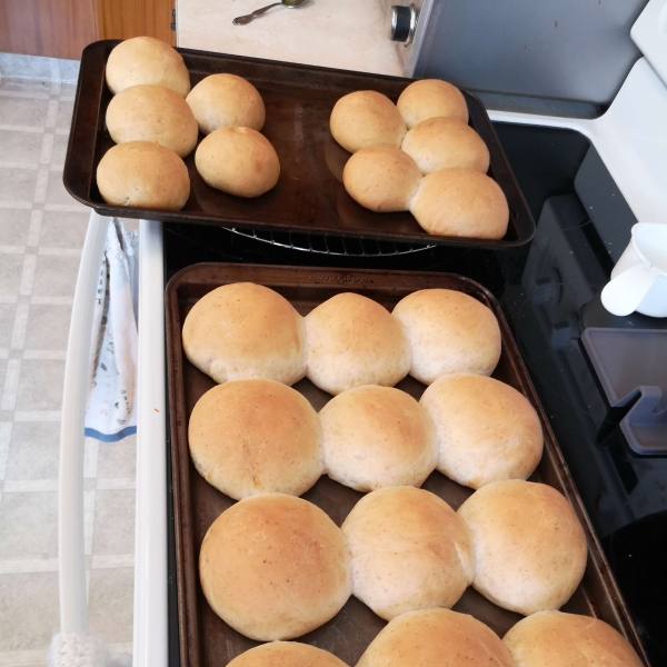 Old-Fashioned Southern Rolls