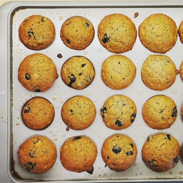 Delicious and Nutritious Whole Wheat Banana and Blueberry Muffins