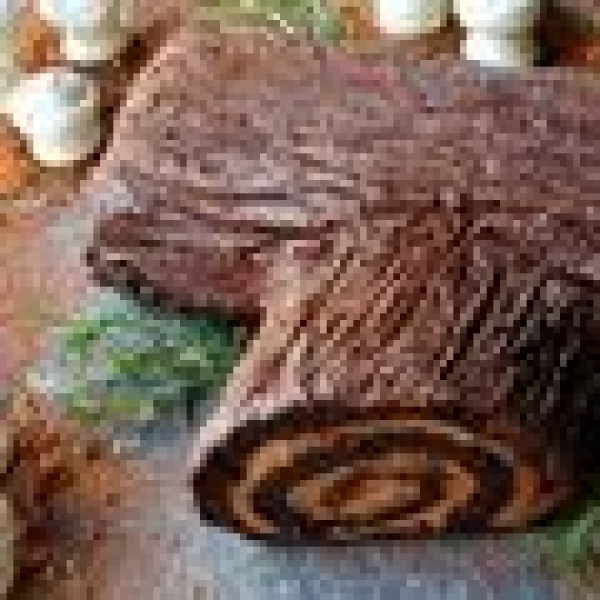 Chocolate Yule Log