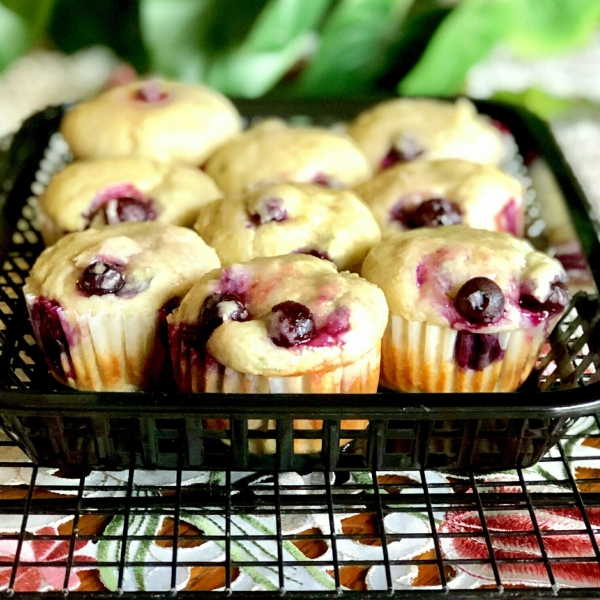 Dairy-Free Breakfast Blueberry Cheesecake Muffins