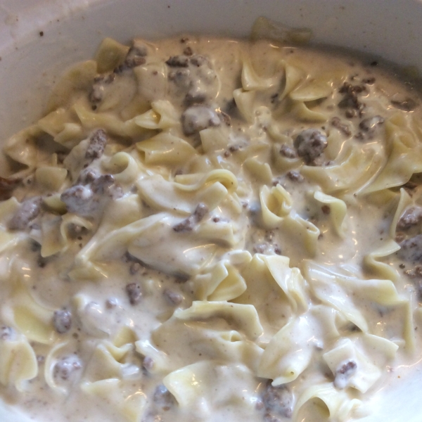 Stroganoff Soup