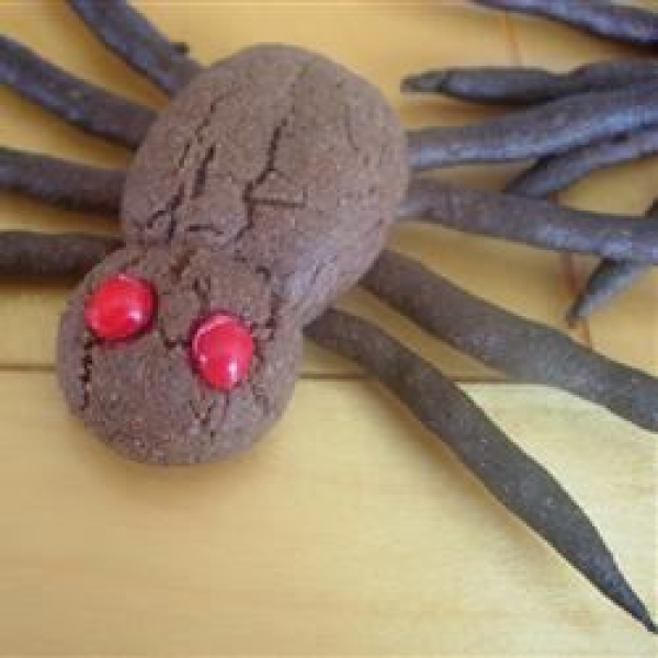 Huge Scary Spiders