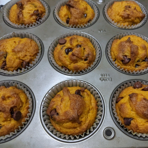 Pumpkin-Dark Chocolate Chip Muffins