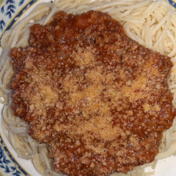 Spaghetti Sauce I