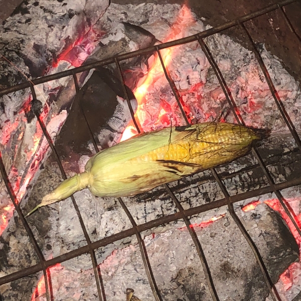 Grilled Corn on the Cob