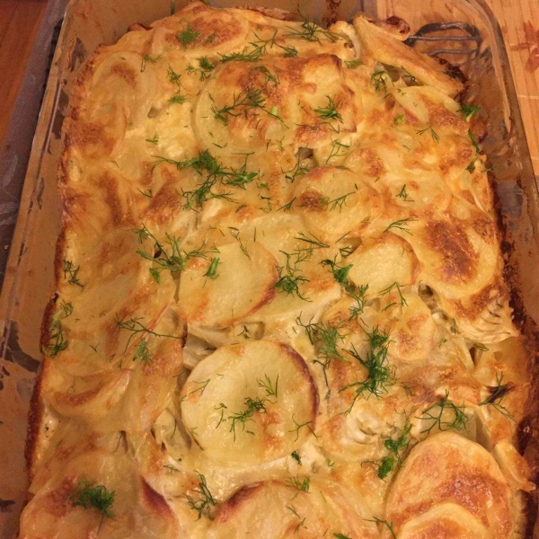 Cheddar Fennel Potato Gratin