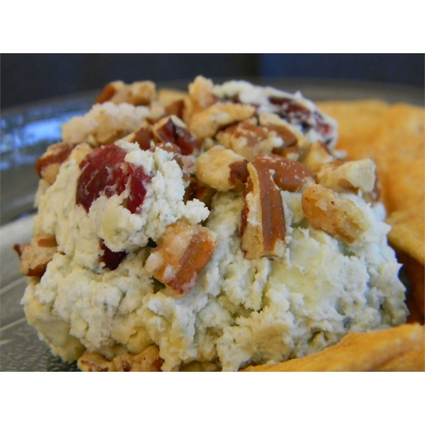 Blue Cheese, Sweet Pecan, and Cranberry Spread