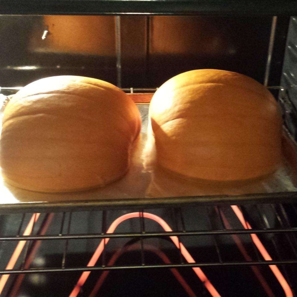 Cooked Pumpkin