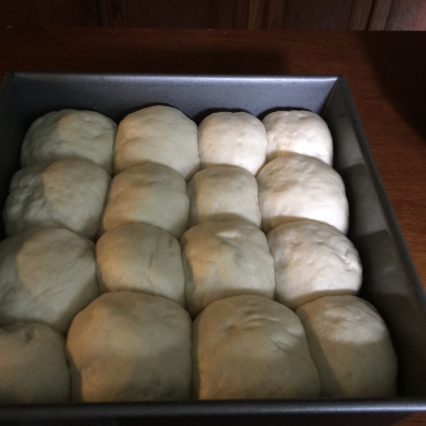 Herman Dinner Rolls