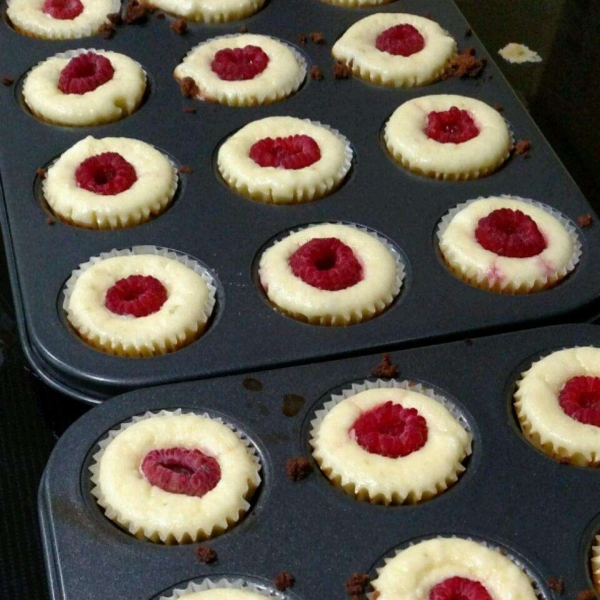 Key Lime Cheesecakes with Raspberry Swirls