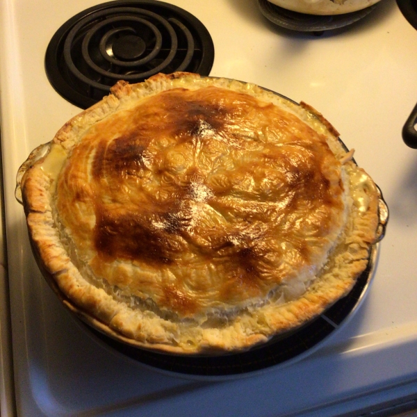 Terry's Favorite Easy Chicken Pie