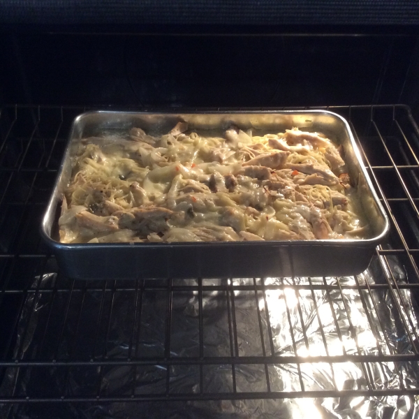 Turkey Tetrazzini