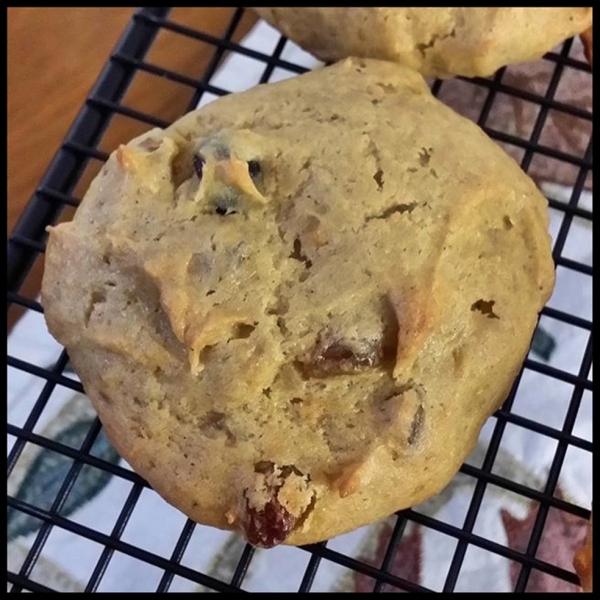 Persimmon Raisin Cookies