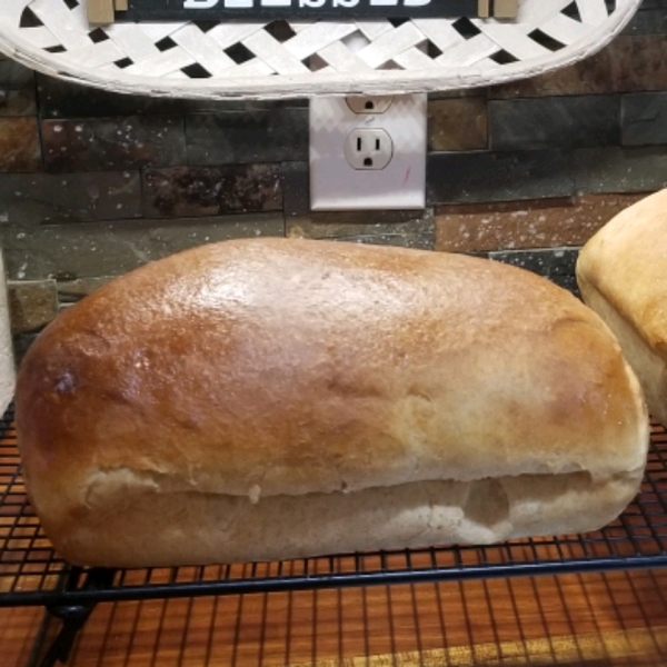 Honey Wheat Bread I