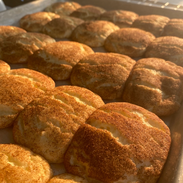 Snickerdoodles I