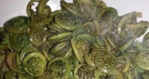 Sautéed Fiddleheads