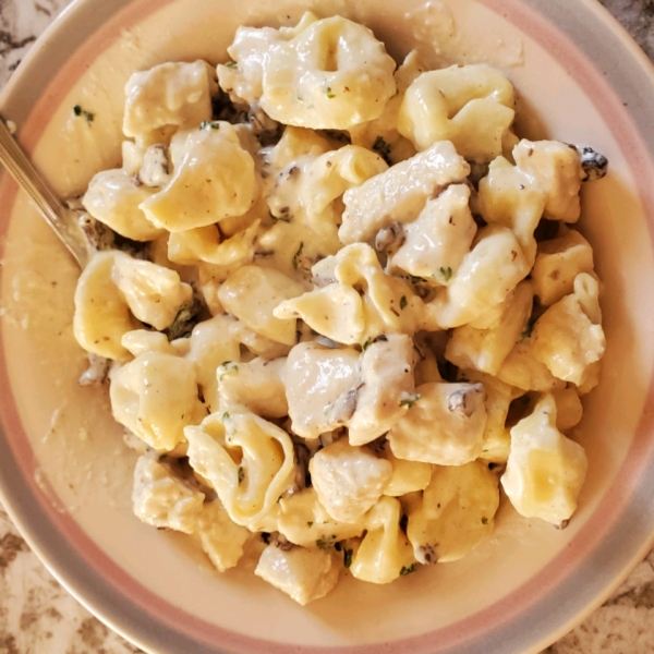 Easy Chicken Pasta Alfredo