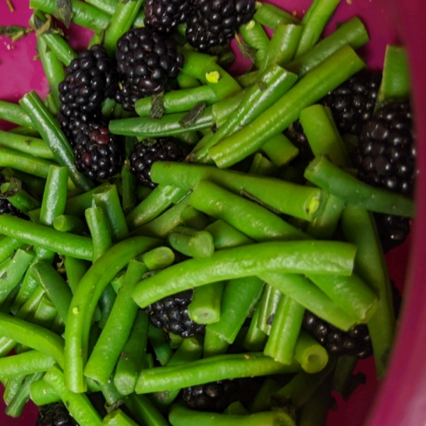 Fresh Oregano and Blackberry Green Beans