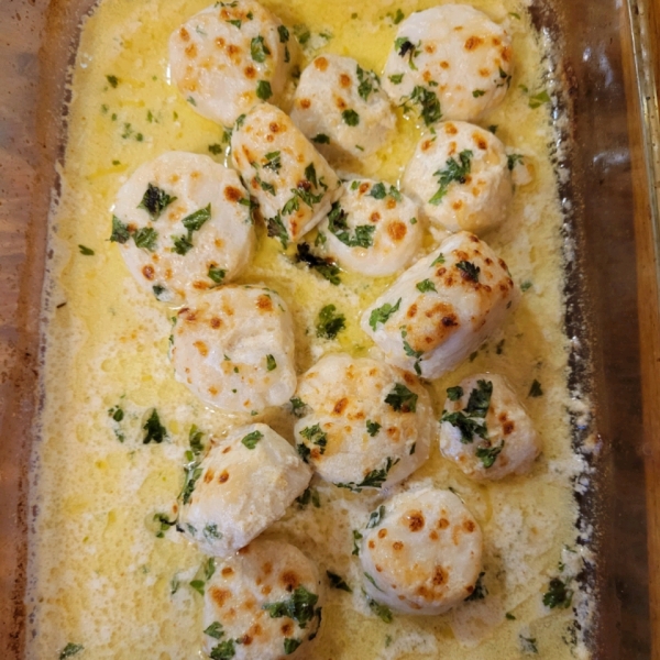 Scallop Gratin