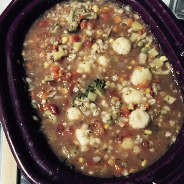 Slow Cooker Vegetable Soup