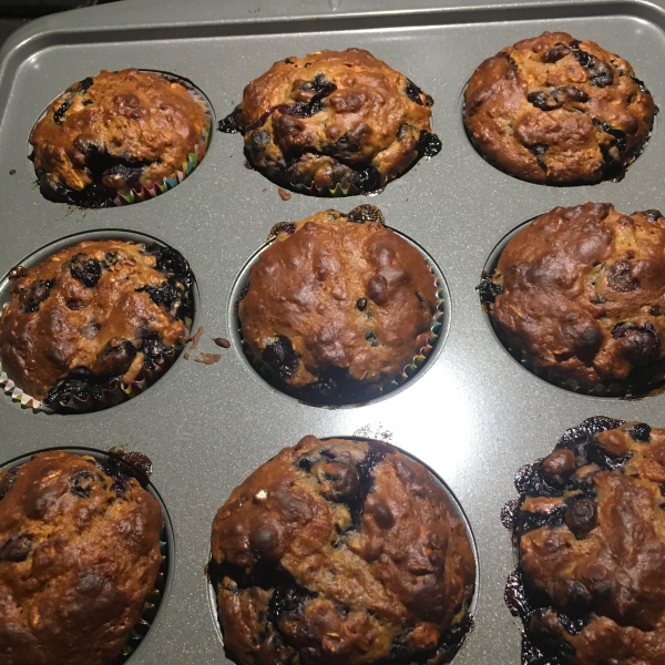 Oat and Blueberry Muffins