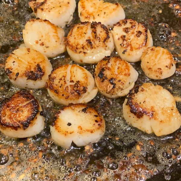 Basil Pan-Seared Scallops over Pasta