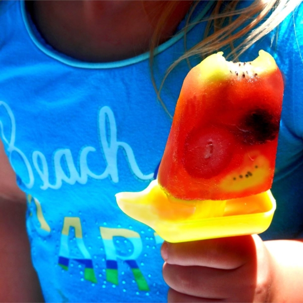 Homemade Ice Pops