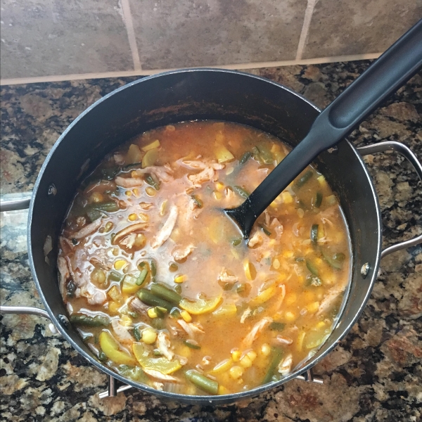 Hearty Chicken Vegetable Soup III