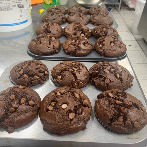 Moist Chocolate Muffins