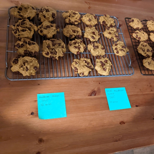 Pumpkin Chocolate Chip Cookies