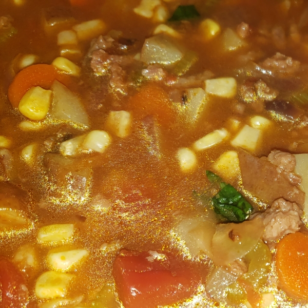 Hamburger Soup I