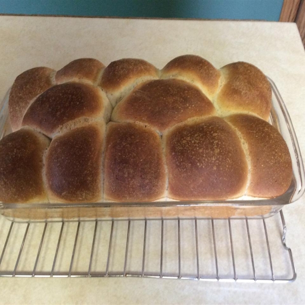Italian Wheat Rolls
