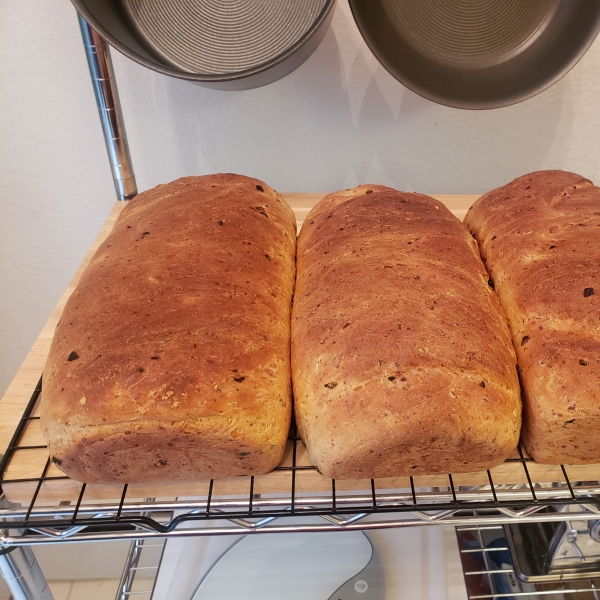 Jalapeno Cheese Bread
