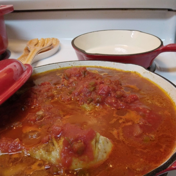 Slow Cooker Chicken and Salsa