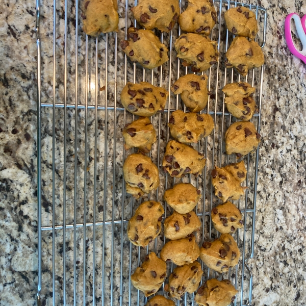 Pumpkin Chocolate Chip Cookies