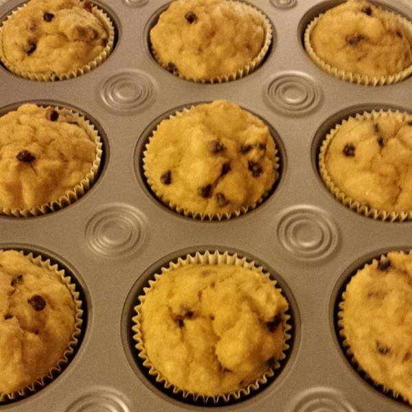 Coconut Flour Banana Muffins with Chocolate Chips