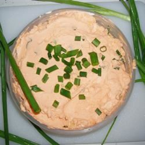 Cheesy Green Onion Bagel Dip