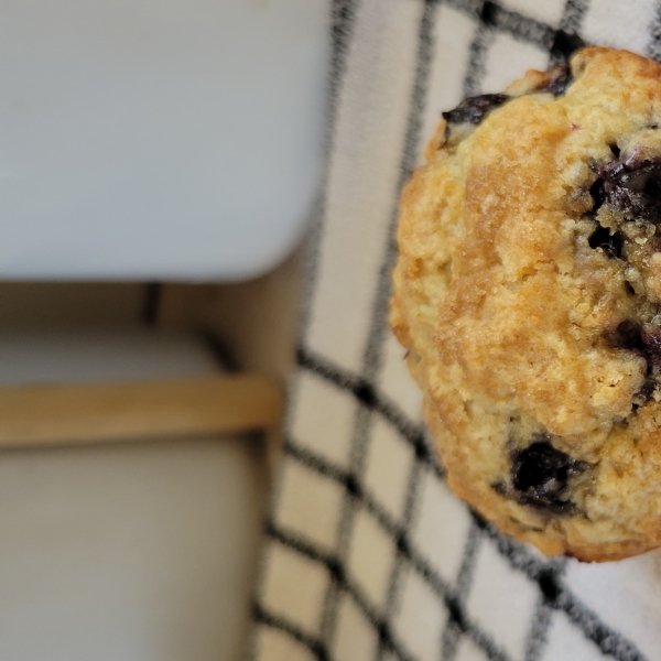 Saskatoon Berry Oat Muffins