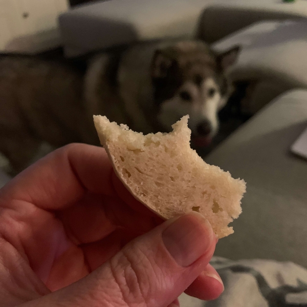 Pain de Campagne - Country French Bread