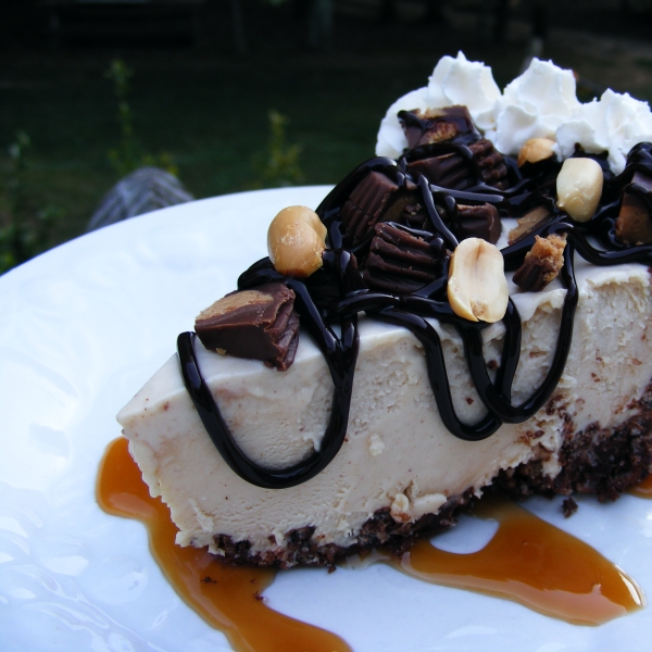 Peanut Butter Pie XII