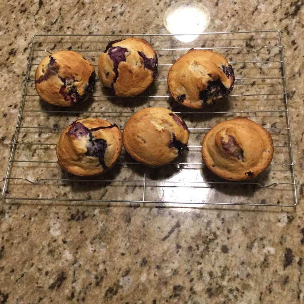 Low-Cholesterol Blueberry Muffins