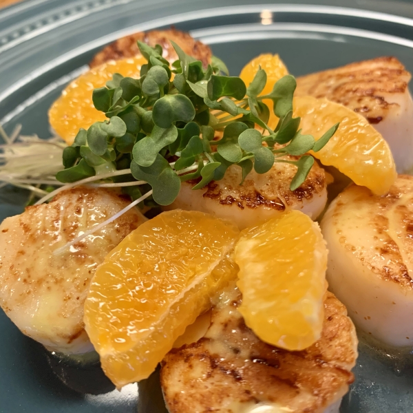 Seared Scallops with Jalapeno Vinaigrette