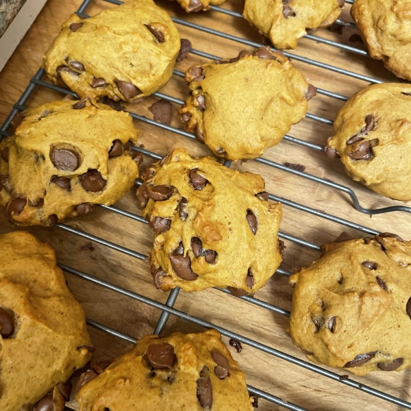 Pumpkin Chocolate Chip Cookies