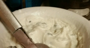 Mint-Chip Coconut Milk Ice Cream