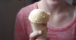 Frozen Vanilla Custard