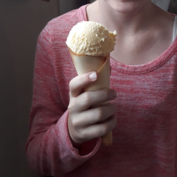 Frozen Vanilla Custard