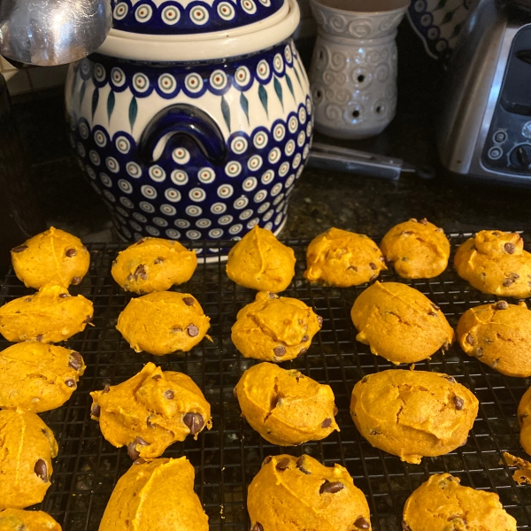 Pumpkin Chocolate Chip Cookies II
