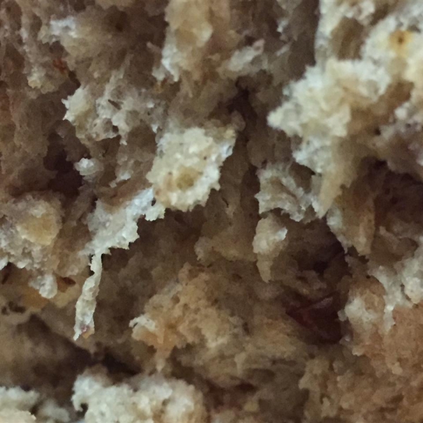 Cranberry Walnut Bread