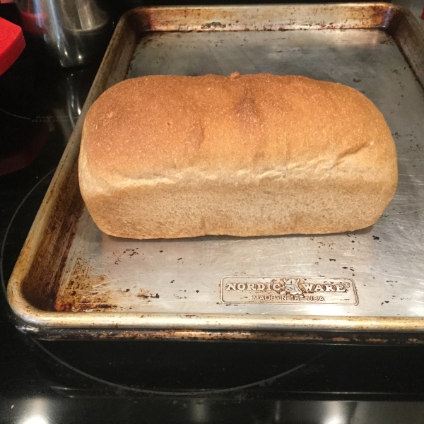 Easy Whole Wheat Bread