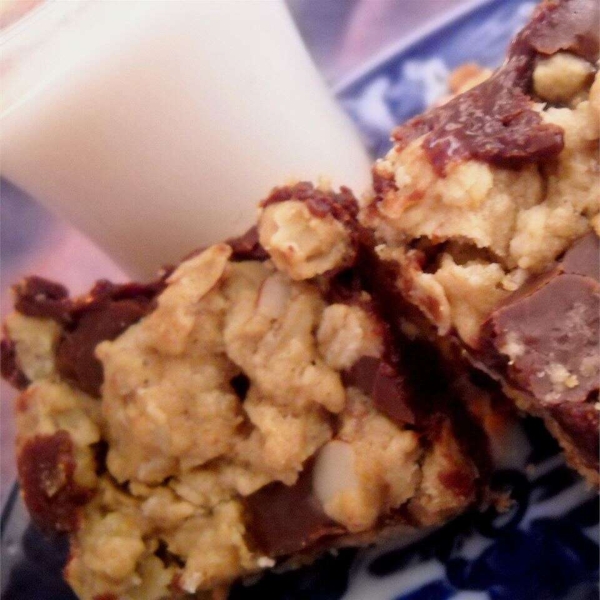 Fudge Nut Oatmeal Bars